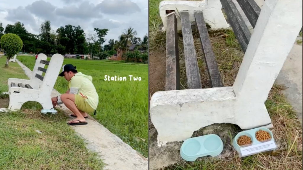 Feeding stations for strays are set up in Argao: A man's advocacy of kindness