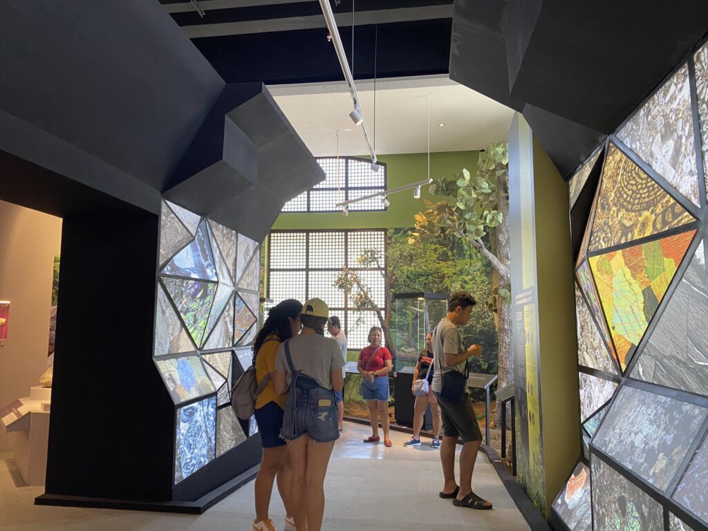 Visitors explore the newly opened National Museum of the Philippines in Cebu. | Mariele Ocubillo, CTU Intern 