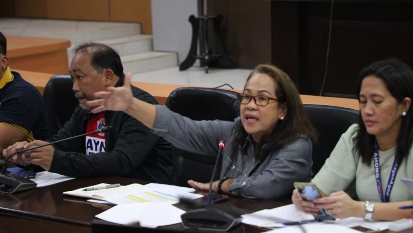 Councilor Annabeth Cuizon pushes the proposed environmental fee for tourists measure at the Lapu-Lapu City Council. | Futch Anthony Inso