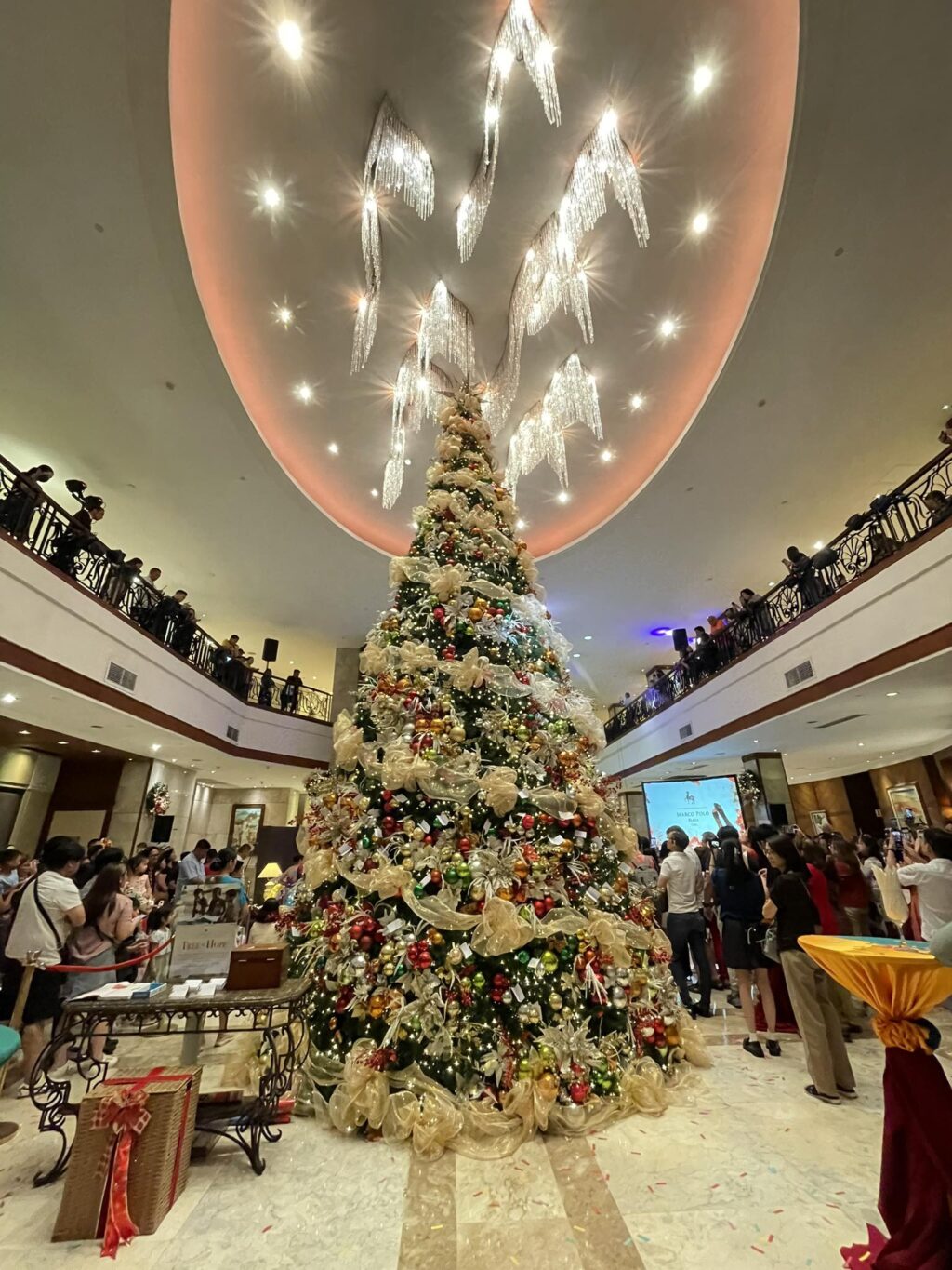 Marco Polo Plaza Cebu's Tree of Hope Shines Bright for Education