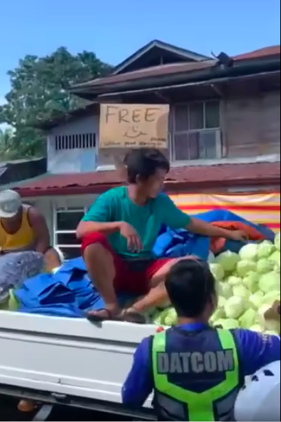 Vegetable traders clarify: No oversupply of cabbage, those given away were rejects. In photo a cabbage farmer in Dalaguete town, southern Cebu gave away free cabbage to passersby on Friday, January 5, 2024. This was because these were considered rejects by traders, who bought these and gave these away. | Contributed photo
