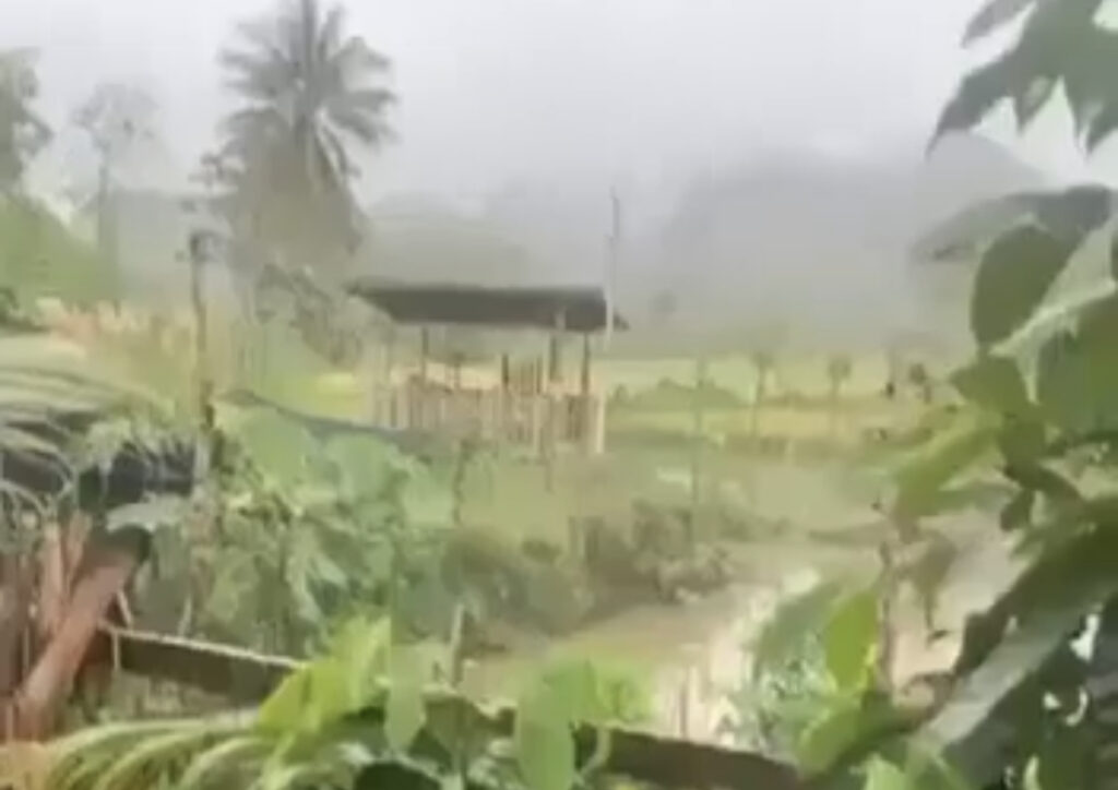 NPA Bohol: In a video captured by a resident of Purok Matinan-ao Dos, Barangay Campagao, Bilar, Bohol, multiple shots can be heard while law enforcement agents and alleged NPA fighters engaged in a shoot-out on on Friday morning, February 23, 2024. | Screenshot from contributed video via Paul Lauro