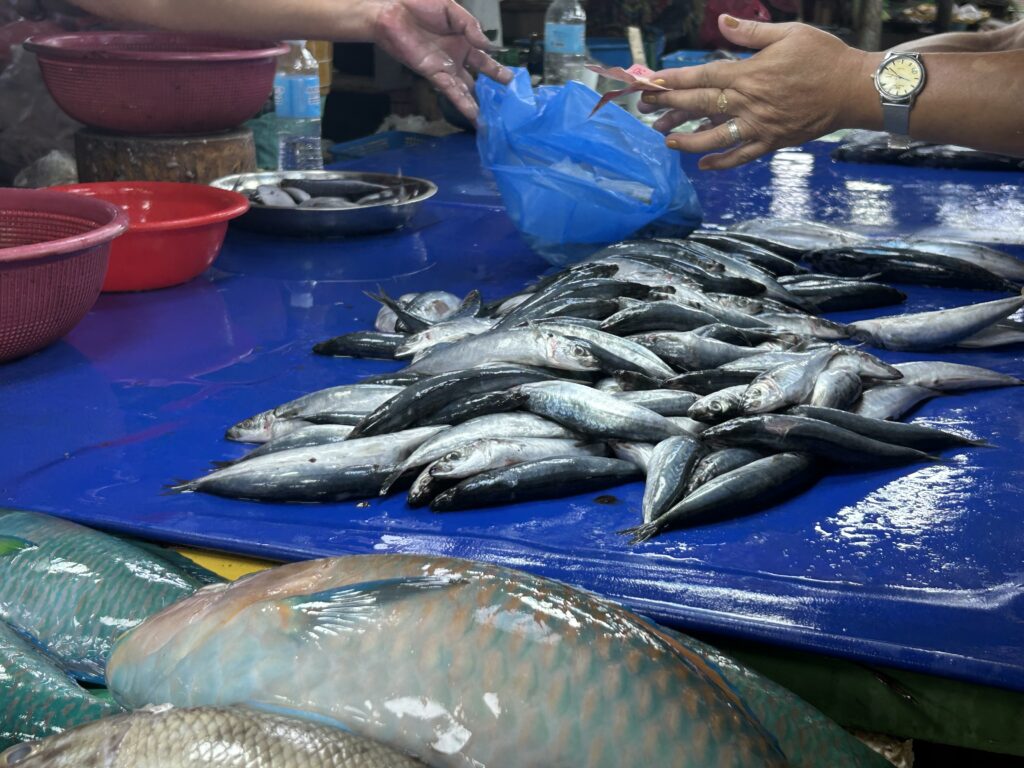 Market Prices Cebu. Fresh fish are sold at the Mandaue City Public Market. | Emmariel Ares