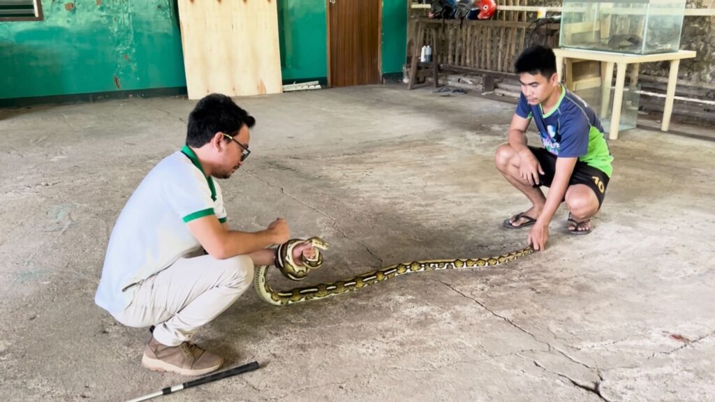 snakes explainer