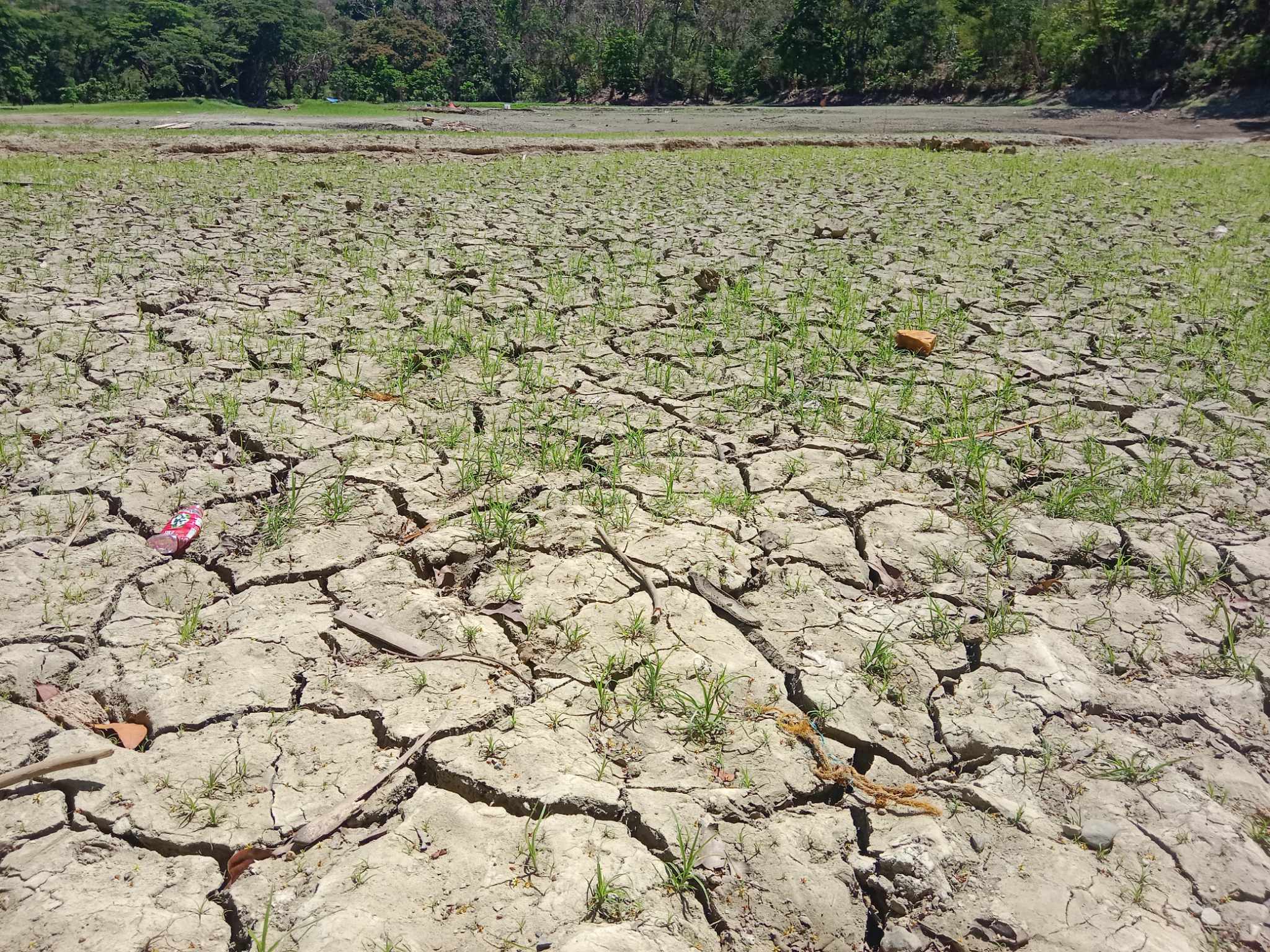 Pagasa: Cebu heat index may hit 44°C, El Niño to ease by May's end ...