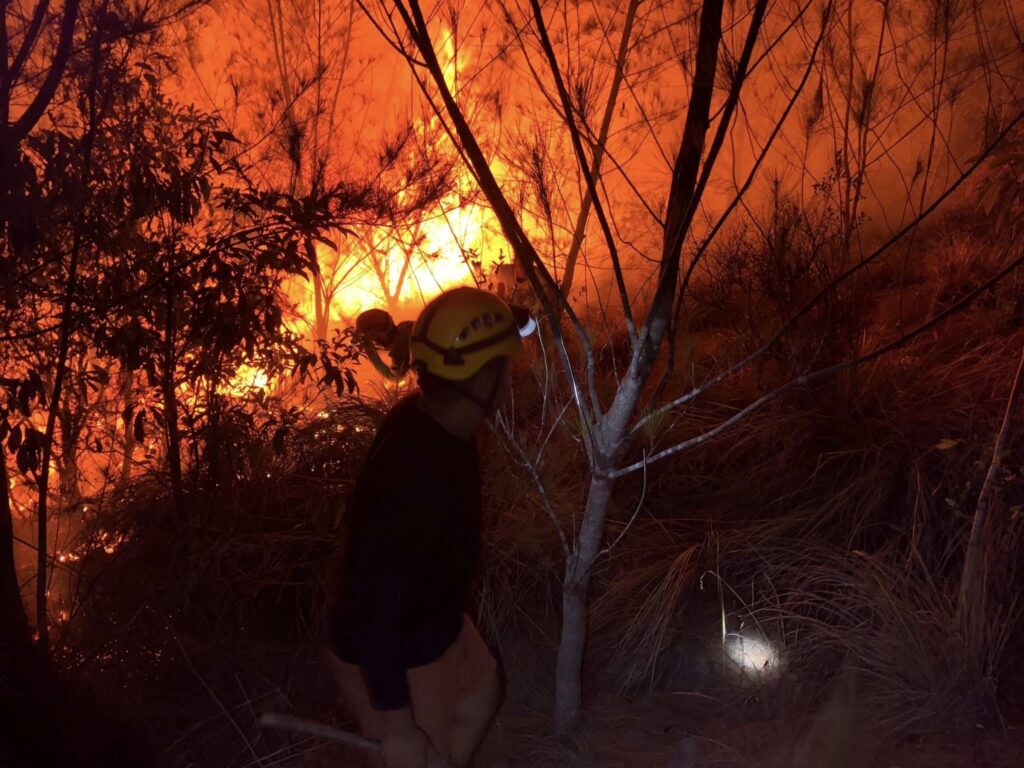 Massive forest fire hits 4 barangays in Oslob