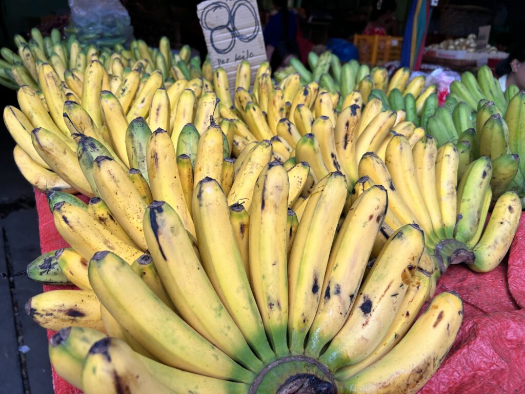 Market Prices Cebu. Bananas are displayed at a fruit stall inside the Carbon Public Market. | Nina Mae Oliverio