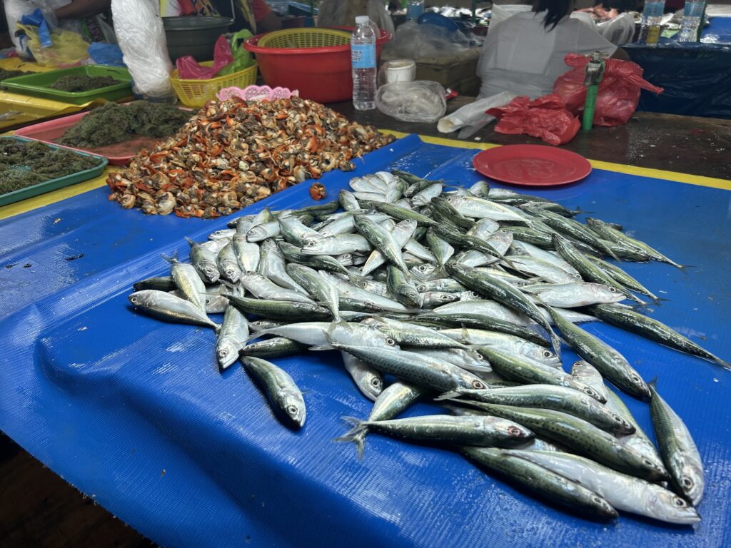 Market Prices Cebu. Fish and other seafood are displayed for marketgoers to buy at the Mandaue City Public Market. | Emmariel Ares