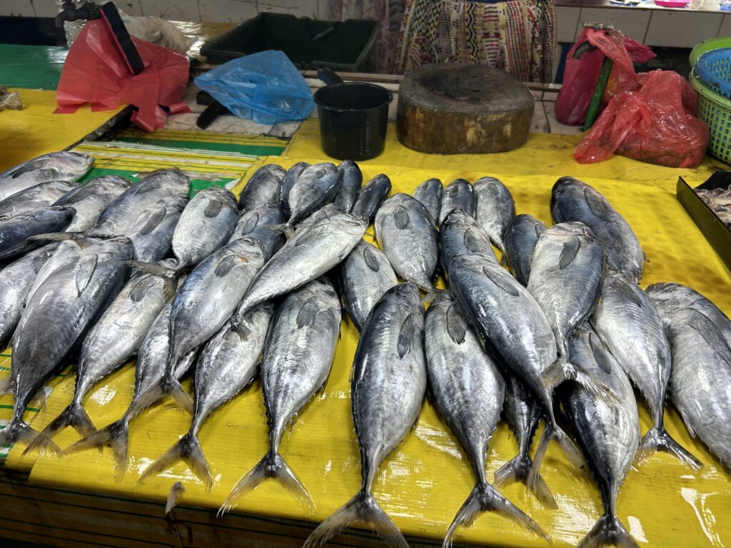 Market Prices Cebu. Fresh fish are sold at the Mandaue City Public Market. | Emmariel Ares