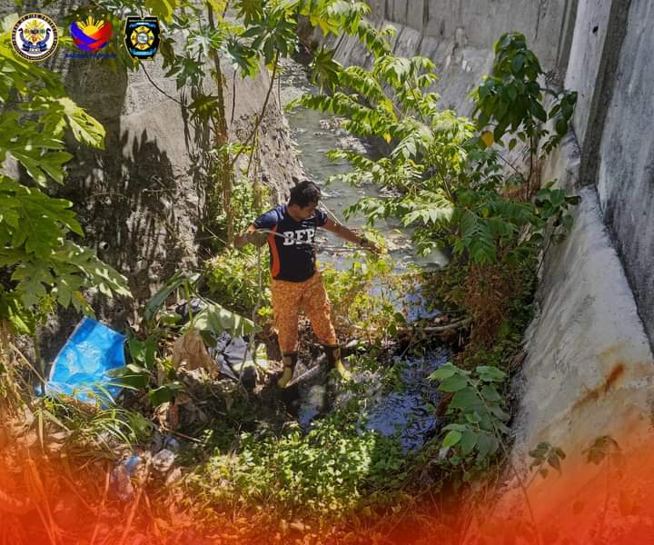 Dog trapped in Mandaue creek rescued by BFP personnel. A fireman from the Bureau of Fire Protection in Central Visayas helps save a dog trapped in a creek in Mandaue City. | BFP Mandaue