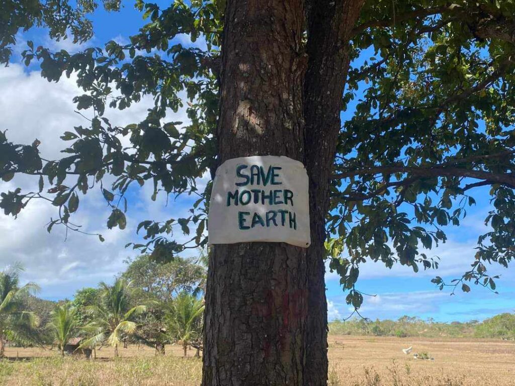Gwen: We’re willing to meet Poro parishioners over trees