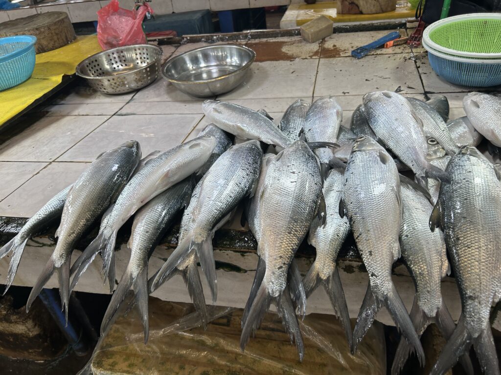 Market Prices Cebu. Milkfish and seafood are also sold at the Mandaue City Public Market | Emmariel Ares