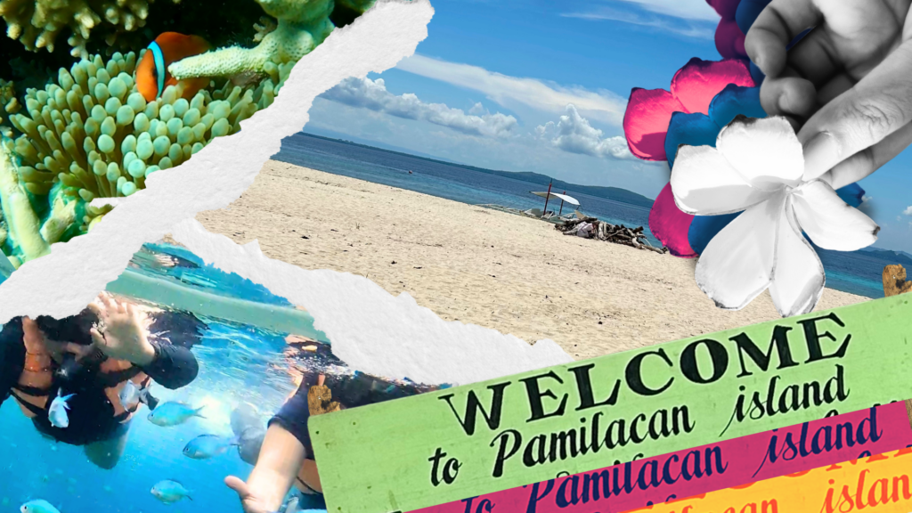 Pamilacan Island in Bohol: Why one should visit this nature's gem