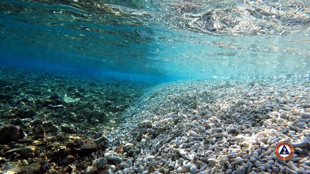 Escoda Shoal corals