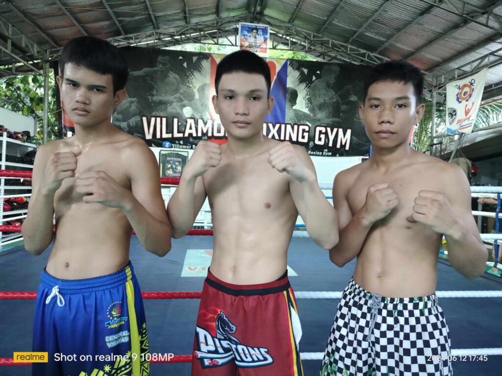 Palarong Pambansa boxing