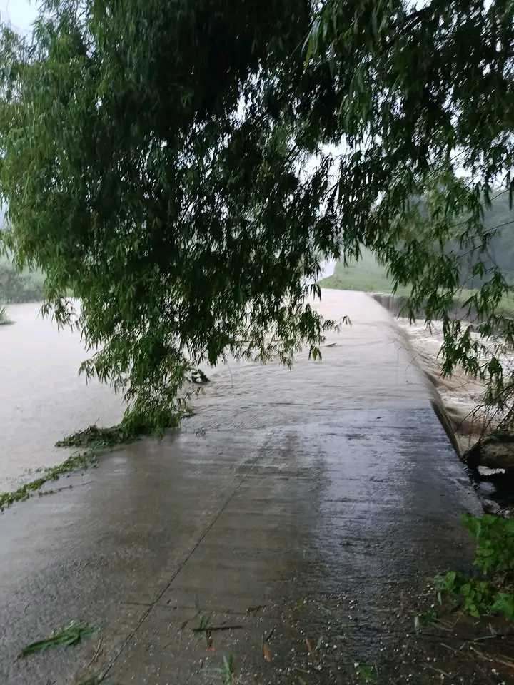 floodiong Cebu