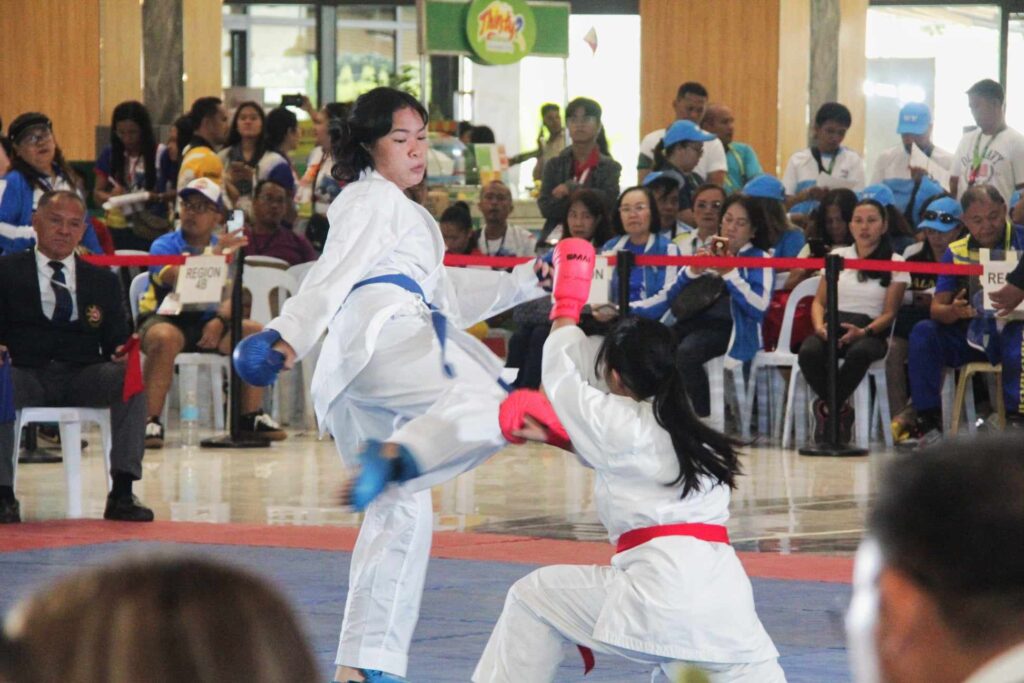 Palarong Pambansa: Karate demo held, nat'l games inclusion eyed. Two karatekas spar during the Karate exhibition at the Gmall in Cebu City. | Josh F. Almonte