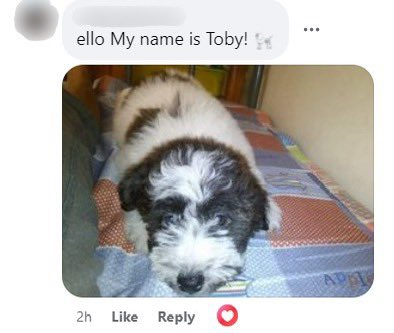  Toby