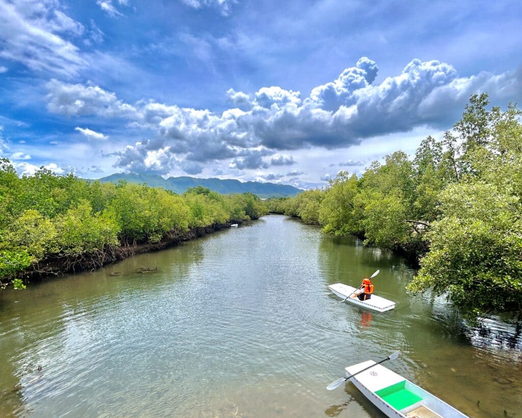 Tawsan Mangroves in N. Cebu: Explore this new travel destination. In photo is aa tourist kayaking in Tawsan.