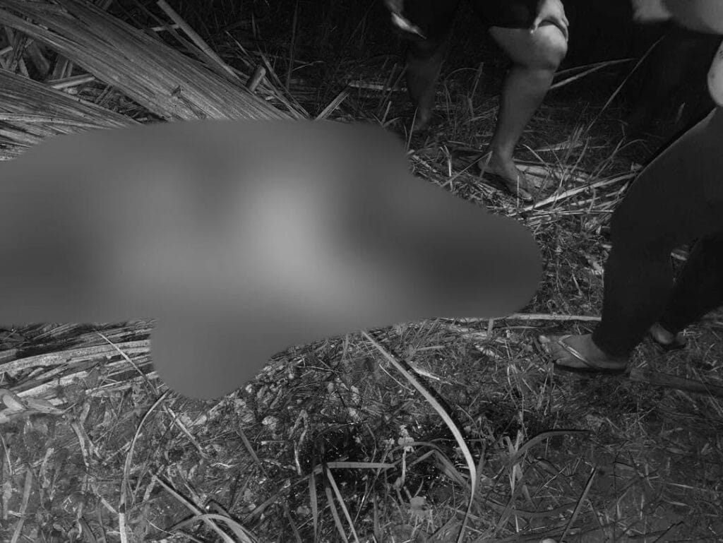 Man hacked to death by his neighbor in Barili, Cebu