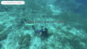 'Vandals' of Virgin Island corals: P200K reward offered for names