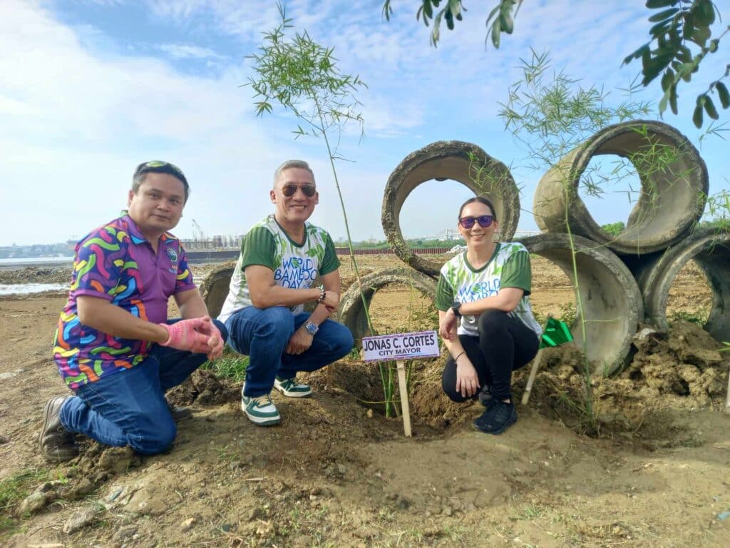 Suspended Mayor Jonas Cortes spearheaded the bamboo planting at the Mandaue Green Learning Park on Saturday.