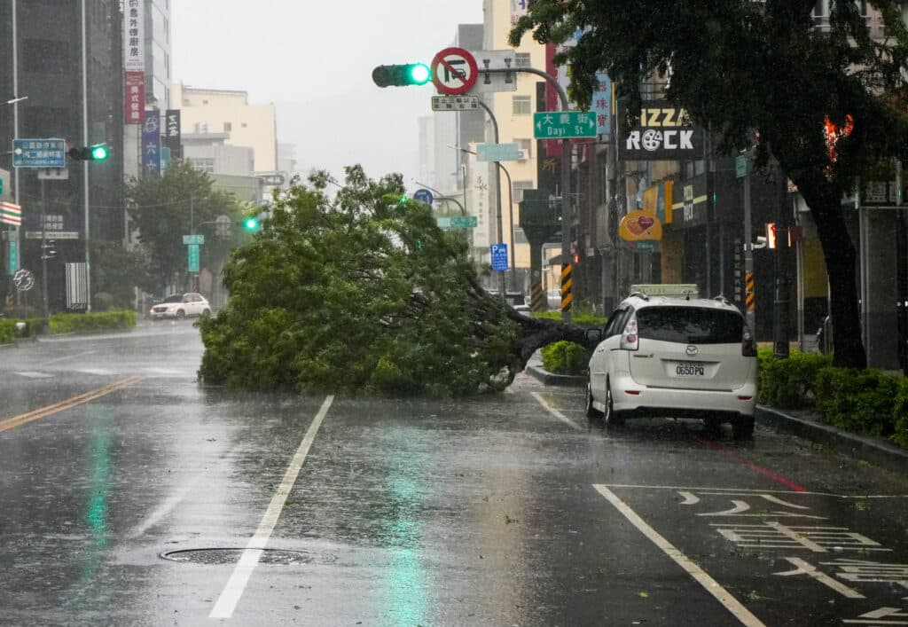 A car is parked next to a fallen tree as Typhoon Krathon nears Kaohsiung on October 3, 2024.| Photo by WALID BERRAZEG / AFP