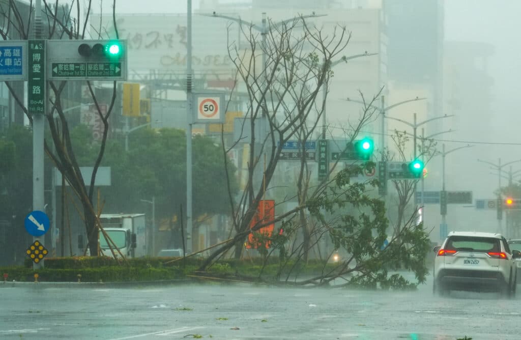 Typhoon Krathon makes landfall: Taiwan shuts down for second day. In photo is a car driving past a fallen tree as Typhoon Krathon nears Kaohsiung on October 3, 2024. | Photo by WALID BERRAZEG / AFP