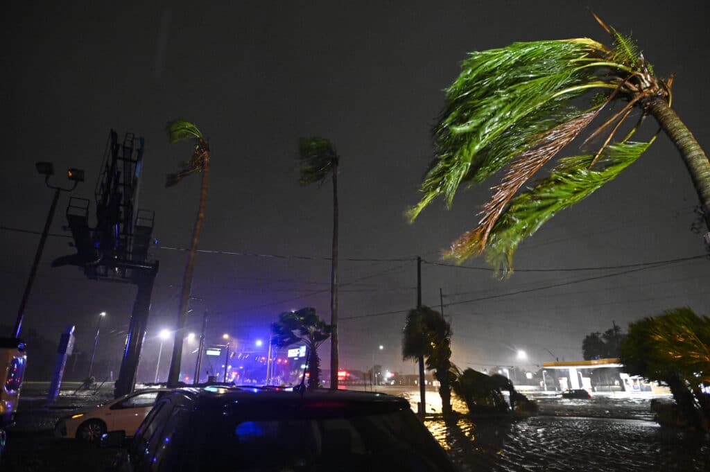 Palm trees bend in the wind after Hurricane Milton made landfall in Brandon, Florida on October 9, 2024. | Photo by Miguel J. Rodriguez Carrillo / AFP