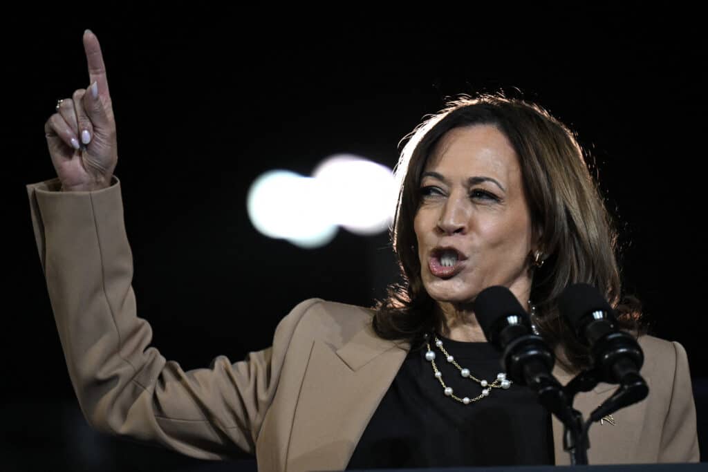 Beyoncé vs. Joe Rogan: Stars power up US election. US Vice President and Democratic presidential candidate Kamala Harris speaks during a campaign rally at the James R Hallford Stadium in Clarkston, Georgia on October 24, 2024. | Photo by Drew ANGERER / AFP