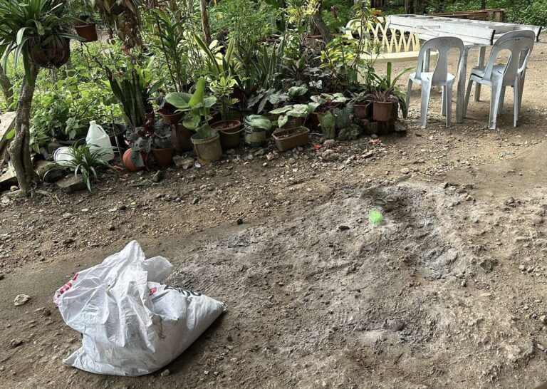 Catmon Man kills neighbor who blamed him for death of his horse Cebu