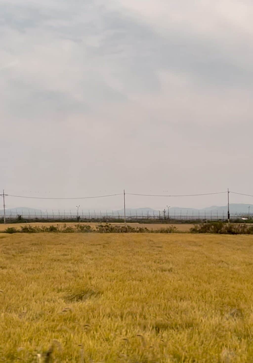 Tall barbed-wire fences circle this coastal portion of Ganghwa Island near the 38th Parallel in South Korea. | Photo by Morexette Marie Erram