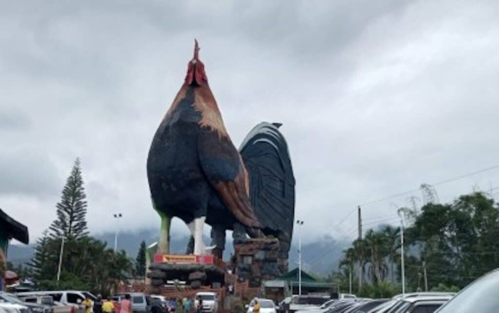 The “Manok ni Cano Gwapo,” inside a resort in Talisay City, Negros Occidental, has been certified by the Guinness World Records as the "largest building in the shape of a chicken." | Nanette Guadalquiver/PNA