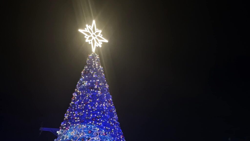 Mezll Estate earns prestigious award, celebrates the holidays with an enchanted garden Christmas tree lighting