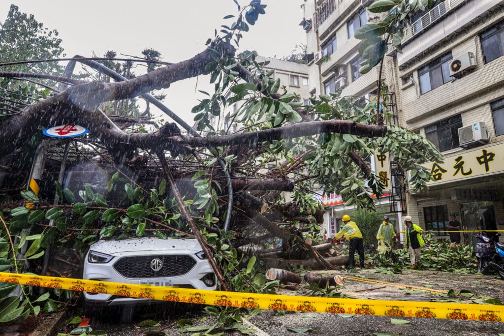 This picture taken and released by Taiwan’s Central News Agency (CNA) on October 31, 2024 shows a car under an uprooted tree at New Taipei City, as Super Typhoon Kong-rey neared the coast in Taitung. | Photo by CNA / AFP