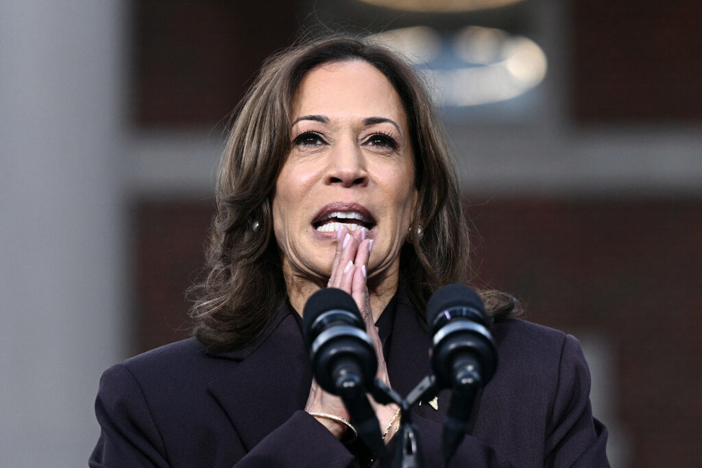 US elections: What went wrong for Harris? Experts weigh in. US Vice President Kamala Harris speaks at Howard University in Washington, DC, on November 6, 2024. | Photo by Brendan SMIALOWSKI / AFP