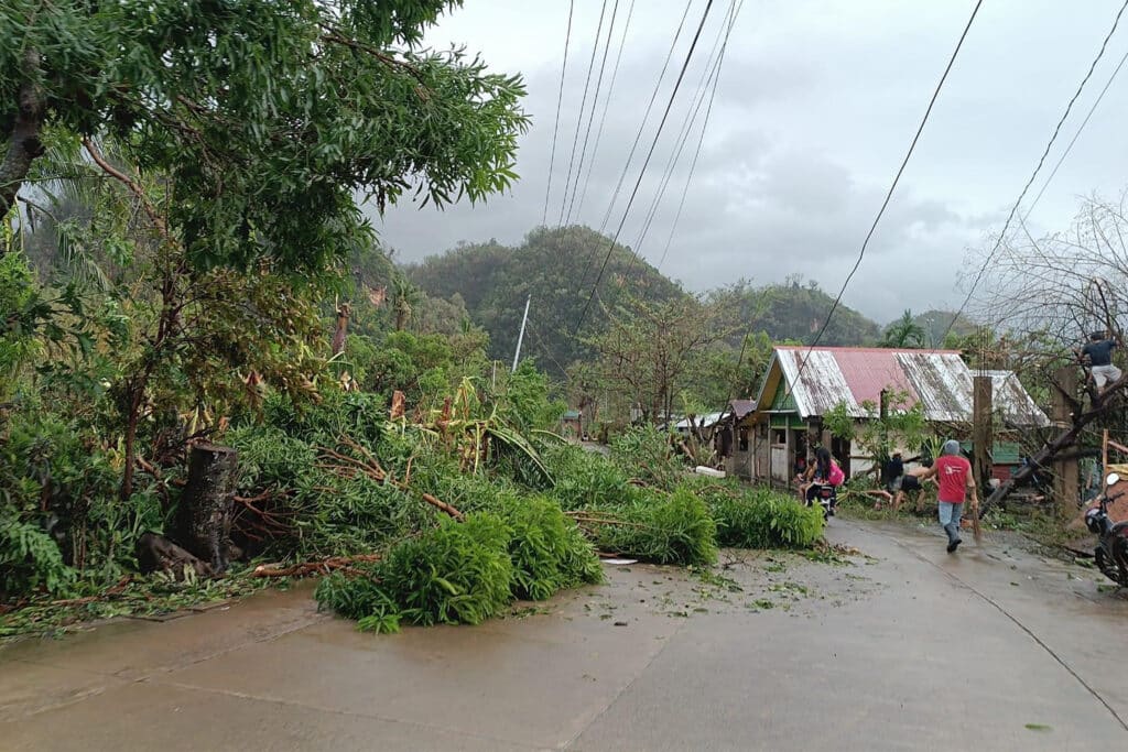 This handout photo from Marissa Cueva Alejandro taken and received on November 17, 2024 shows fallen trees during the aftermath of Super Typhoon Pepito in Virac, Catanduanes province. | Photo Courtesy of Marissa Cueva Alejandro / AFP