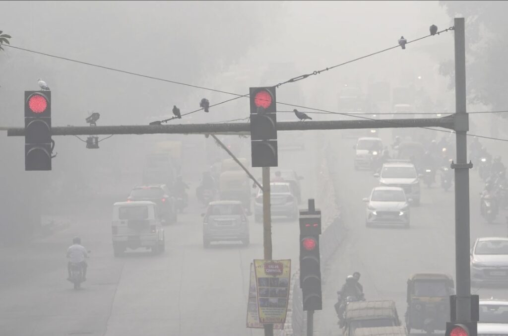 Pigeons rest on a traffic light post surrounded by a thick layer of smog in New Delhi, India, Thursday, Nov. 14, 2024. (AP Photo/Manish Swarup)