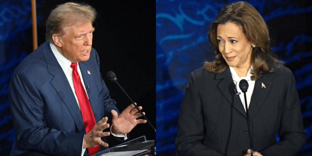 US elections: Harris, Trump battle by means of ultimate marketing campaign hours