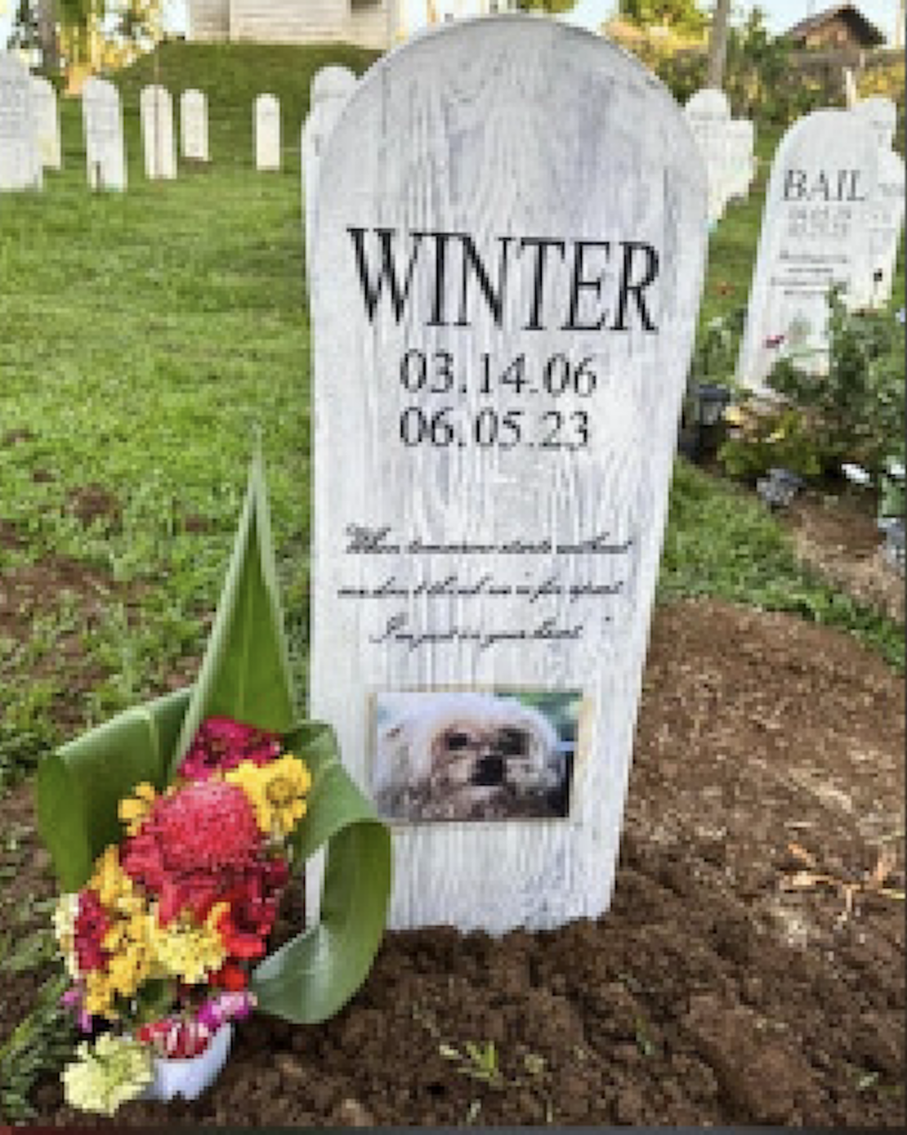 PET CEMETERY. As Filipinos flock to the cemeteries on All Saints' and All Souls' Days, the "Garden of Remembrance," located at the famed ecotourism destination, FarmPlate, in Daraga town in Albay province, will once again open its gates to fur parents. This 260-square-meter burial ground is the first pet cemetery in the province. (Photo courtesy of Grace Joy Toledo)