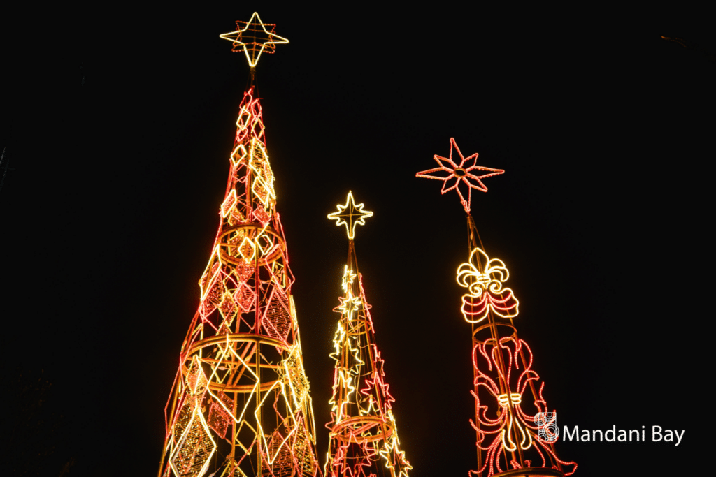 A season of sparkles: The Christmas tree lightings that made Cebu shine this year