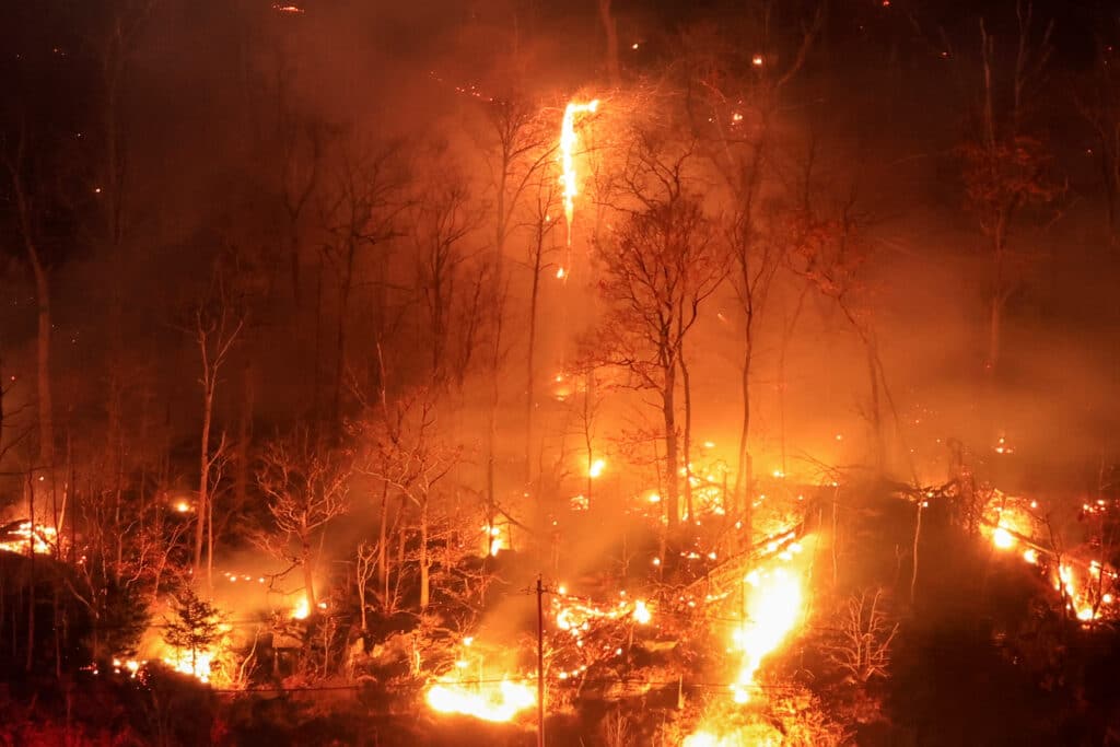 An area burns from the Jennings Creek Wildfire on November 13, 2024 in Greenwood Lake, New York. An extended drought has helped fuel the Jennings Creek Wildfire on the New York/New Jersey border, which has grown to 5,000 acres across both states. | Kena Betancur/Getty Images/AFP 