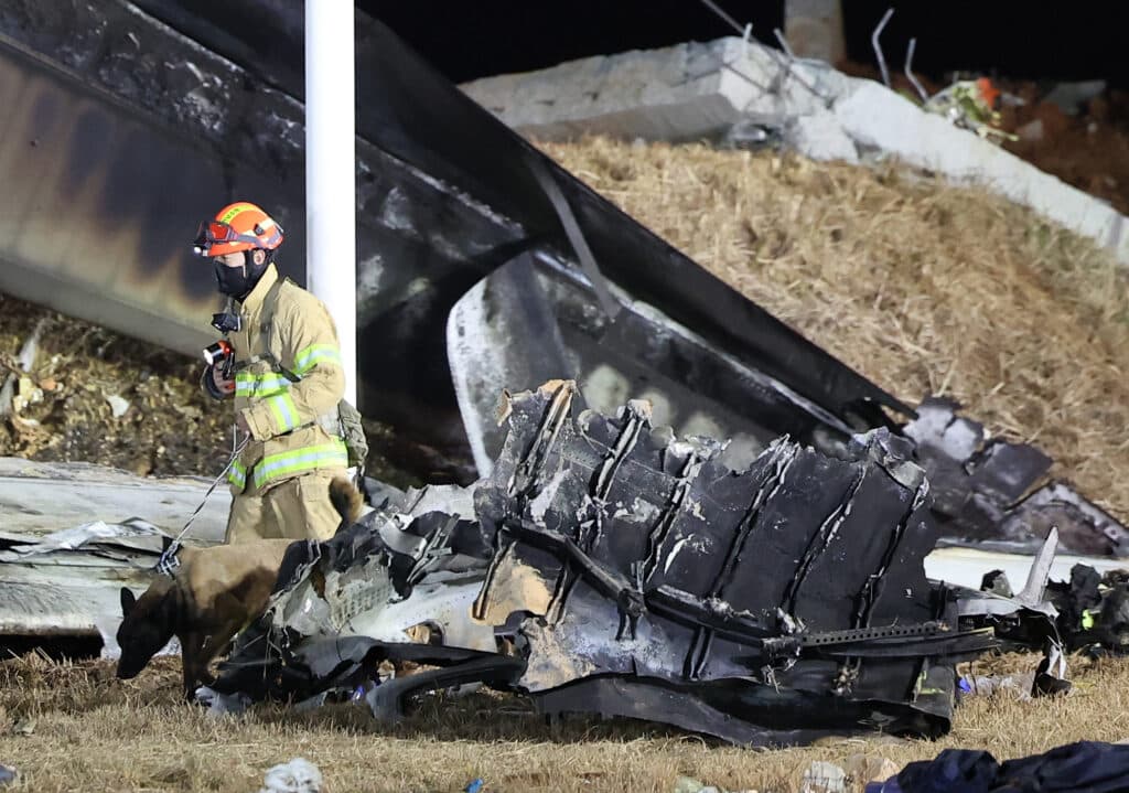 A firefighter and a dog work near the crash scene of a Jeju Air Boeing 737-800 series aircraft. | Photo by YONHAP / AFP