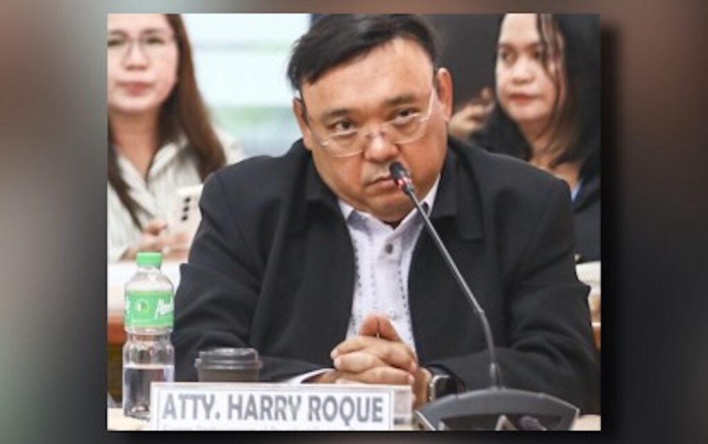 Former presidential spokesperson Harry Roque (PNA File photo)