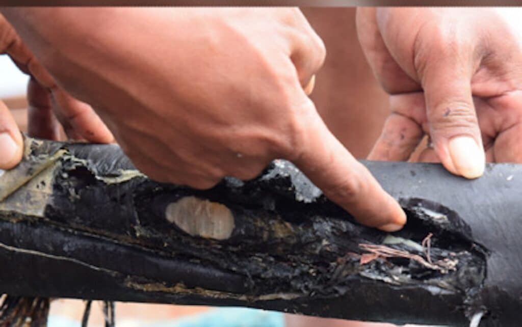 FAULT LOCATED. Divers and experts from the Siargao Electric Cooperative inspect the damaged portion of a submarine cable on Thursday (Dec. 12, 2024). The cable fault has caused a prolonged power outage in Siargao Island in Surigao del Norte since Dec. 1. (Photo courtesy of Atty. Lalo Matugas)