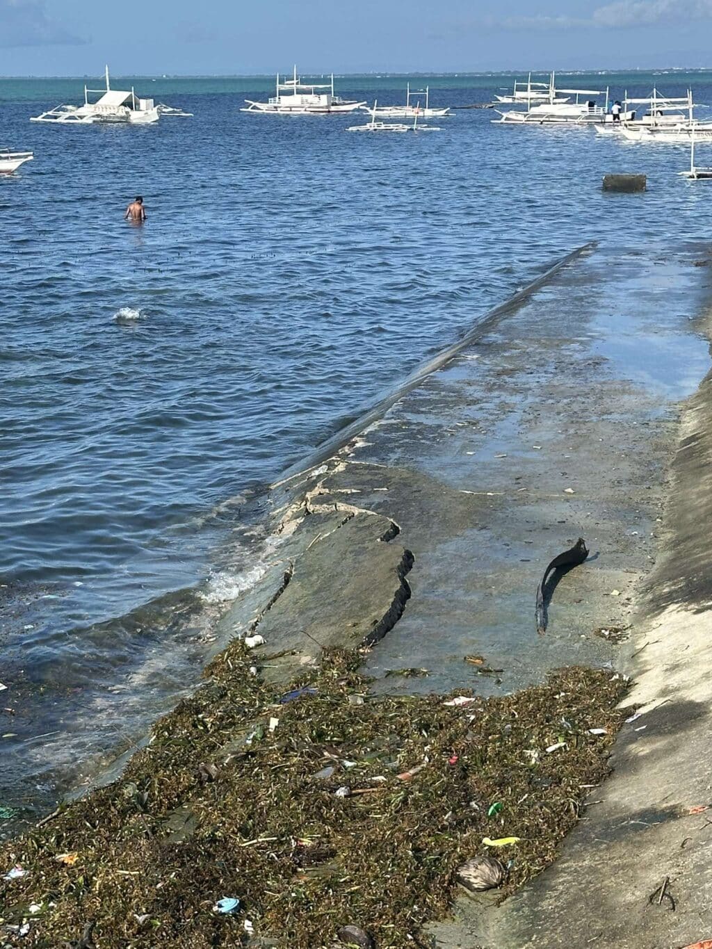 Sorry! Image not available at this time