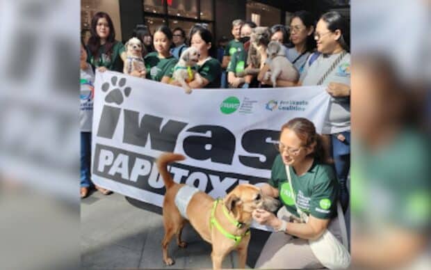 ‘Iwas PapuToxic’: Groups renew call for firecracker-free New Year