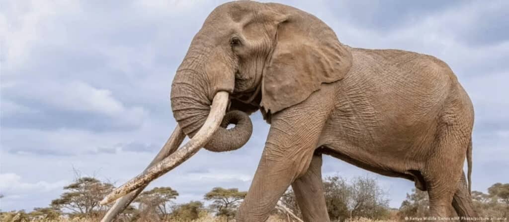 Sorry! Image not available at this time