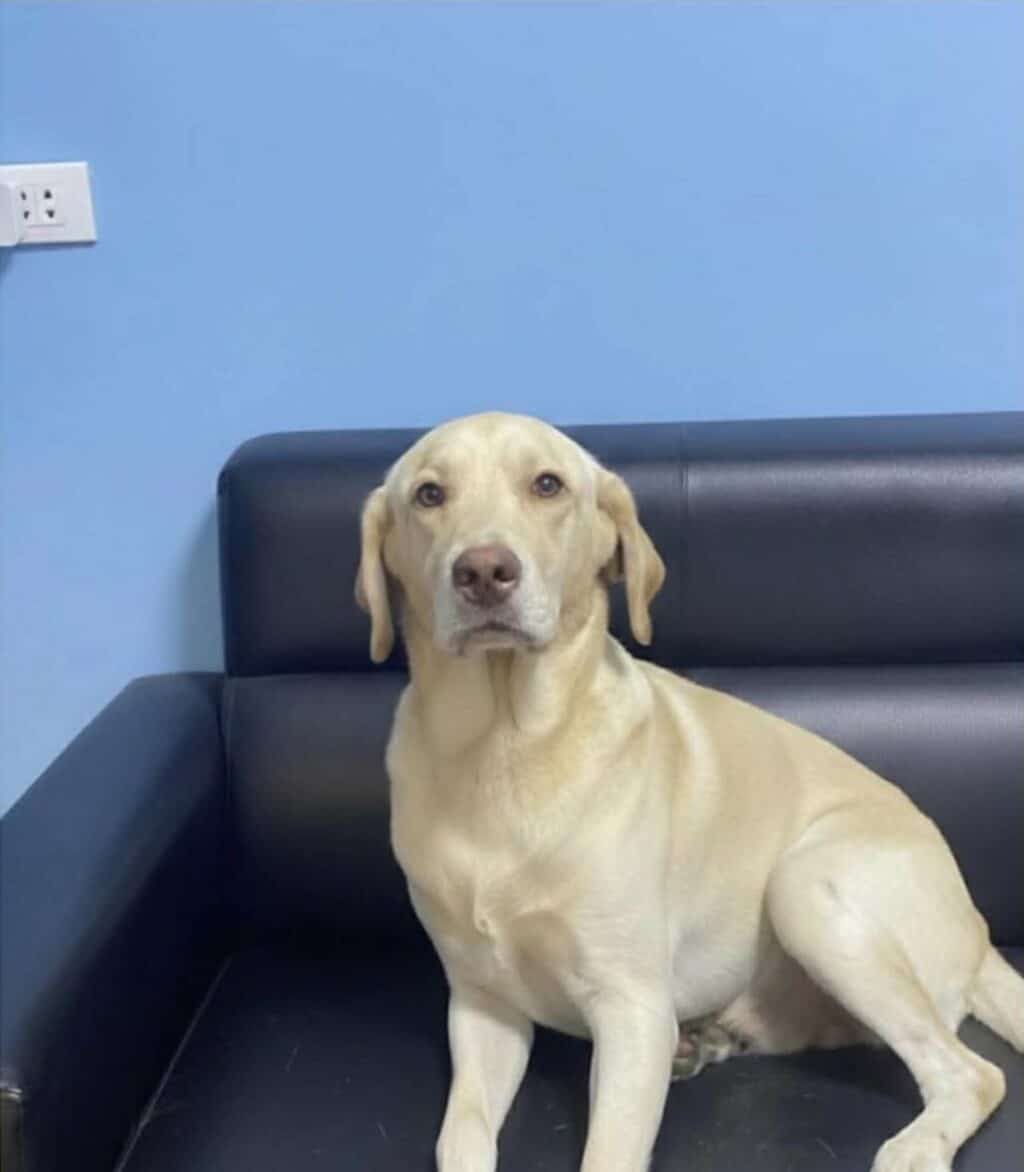 Sorry! Image not available at this time