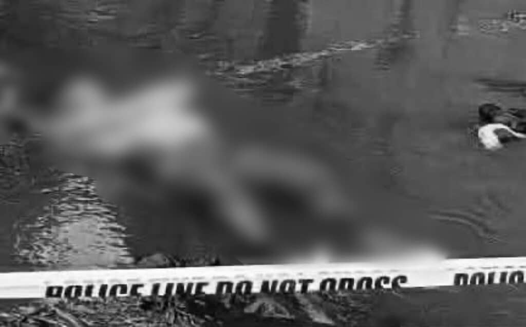 Sorry! Image not available at this time